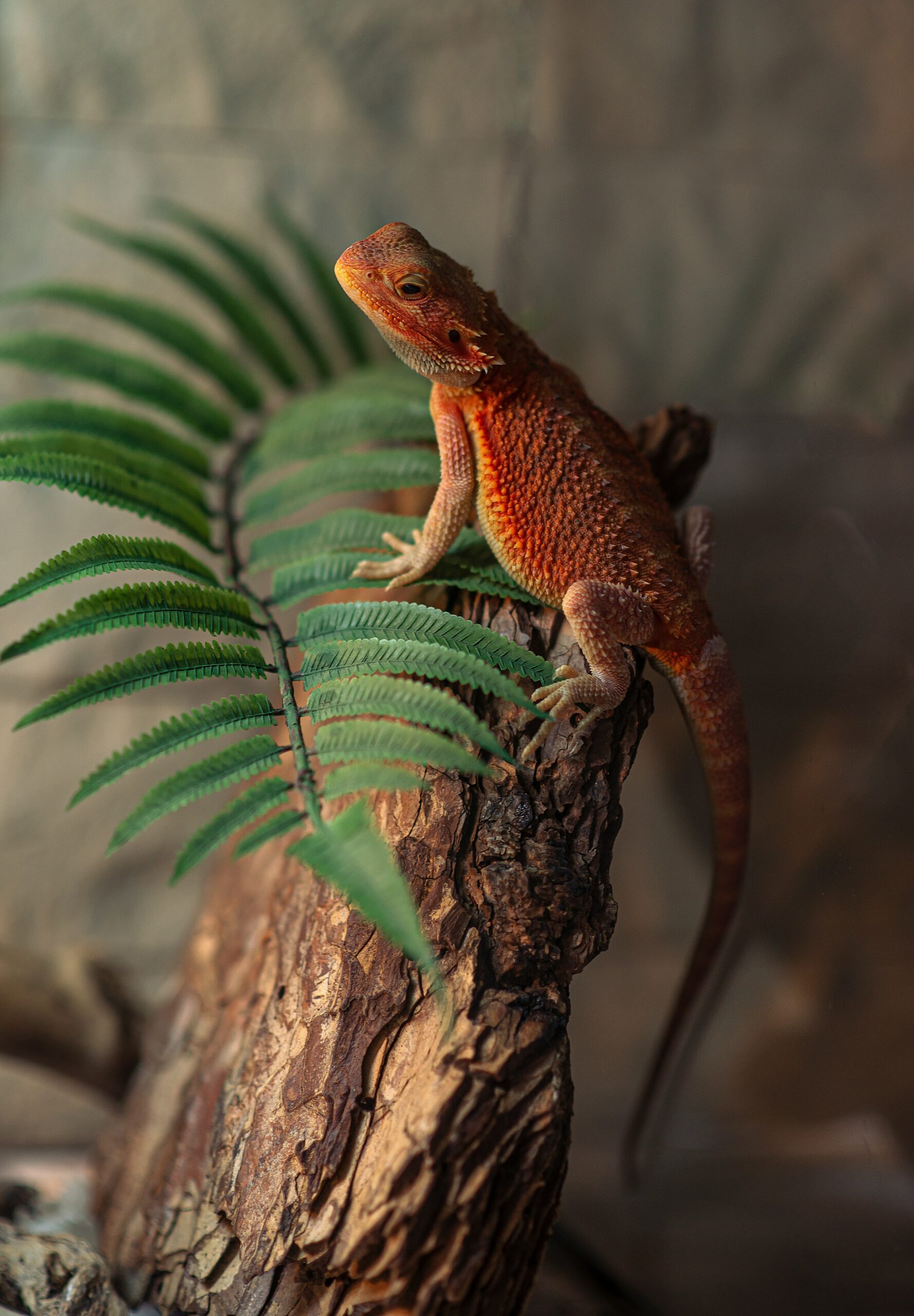Top 7 Exotic Pets for Beginners (And Which to Avoid)